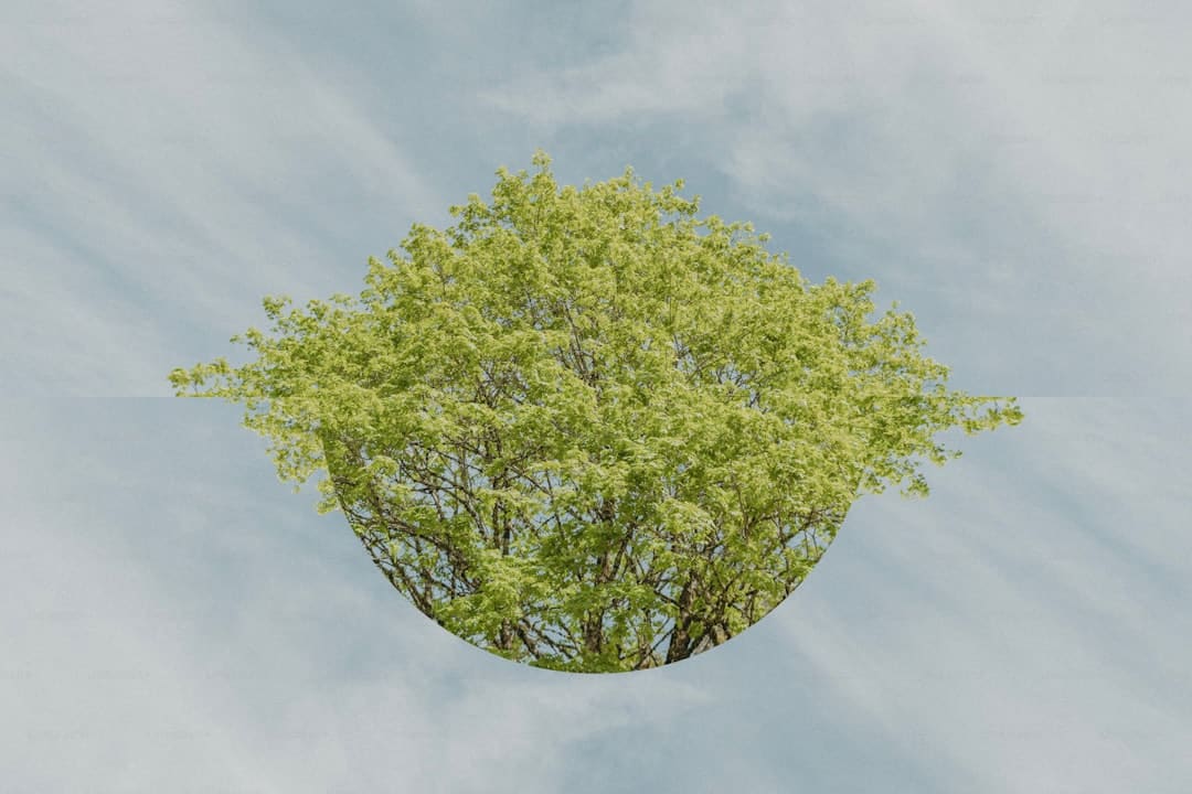 儿童火车票怎么购买 怎么开发票?